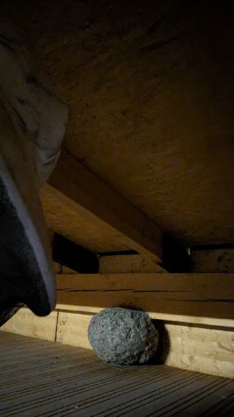 Höfler Schädlingsbekämpfung - GALLERY