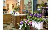 Höllein Iris - Blumen Schmidt - GALLERY