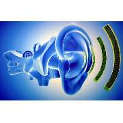 Hörgeräte Basler - GALLERY