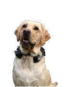 Hörsysteme Volker Michel - GALLERY