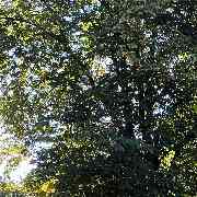 Hof Mindrup - GALLERY