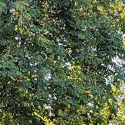 Hof Mindrup - GALLERY