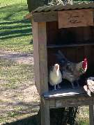 Hof Mindrup - GALLERY