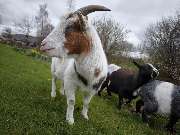 Hof Mindrup - GALLERY