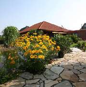 Hofmann Gartenbau - GALLERY