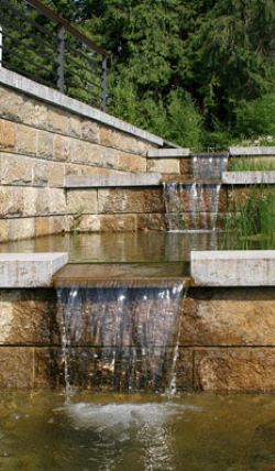 Hofmann Gartenbau - GALLERY