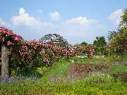 Holiday Inn Express Darmstadt by IHG - GALLERY