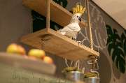 Holiday Inn - the niu, Crusoe Bremen Airport by IHG - GALLERY