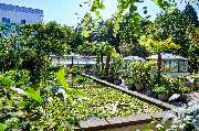 Holiday Inn - the Niu, Cure Erlangen by IHG - GALLERY