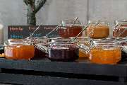 Holiday Inn - the niu, Flux Passau by IHG - GALLERY