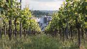 Holiday Inn - the Niu, Form Stuttgart Feuerbach by IHG - GALLERY