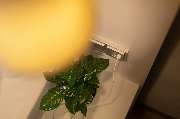 Holiday Inn - the niu, Mesh Stuttgart Messe by IHG - GALLERY