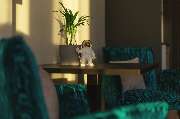 Holiday Inn - the niu, Star Sindelfingen by IHG - GALLERY