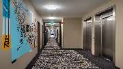 Holiday Inn - the niu, Timber Esslingen by IHG - GALLERY