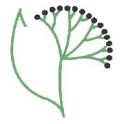 Holunder-Apotheke - Logo der Holunder-Apotheke