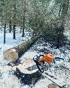 Holz Hilbich Baum- & Forstarbeiten - GALLERY