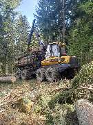 Holz Nigl - GALLERY