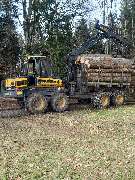 Holz Nigl - GALLERY
