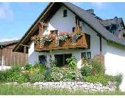 Holz Opel - GALLERY
