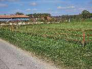 Holz Peper GmbH - GALLERY