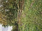 Holz Peper GmbH - GALLERY