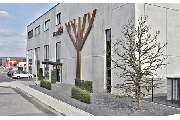 Holz Roeren GmbH - GALLERY