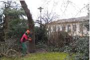 Holzinger Gartengestaltung - GALLERY