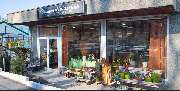Holzschuh Blumen - GALLERY