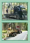 Holztransport- und Handel Mario Schaarschmidt - GALLERY