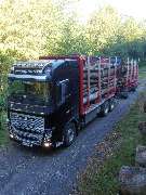 Holztransport- und Handel Mario Schaarschmidt - GALLERY