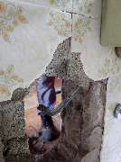 HomeFix24 Wasserschadenbeseitigung Leckortung - GALLERY