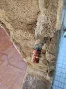 HomeFix24 Wasserschadenbeseitigung Leckortung - GALLERY