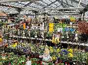 HORNBACH Neu-Ulm - HORNBACH Neu-Ulm