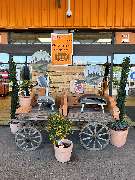 HORNBACH Neu-Ulm - Hornbach Neu-Ulm, Garten, Grill, Pizzaofen, Ooni