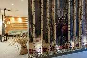 Hotel Anklamer Hof, BW Signature Collection by Best Western - Spa