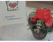 Hotel-Gasthof Zum Freigericht GmbH Inh. Eva Limbach-Lütkemüller - GALLERY