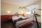 Hotel-Gasthof Zum Wulfen - GALLERY