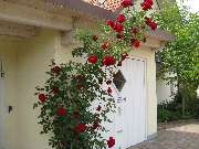 Hotel Heike garni - GALLERY