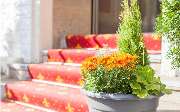 *** HOTEL RESIDENCE - GALLERY