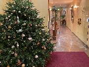 Hotel Schlicker 