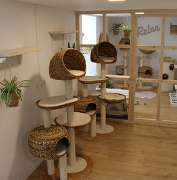 Hotel Stubentiger - GALLERY