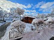 Hotel Zur Alten Oder - Frankfurt (Oder) - GALLERY