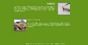House & Garden Service - 4