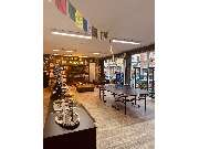 House of Pain - GALLERY