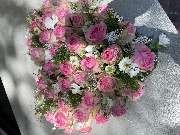 Hubein Diana - GALLERY