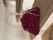 Hubein Diana - GALLERY