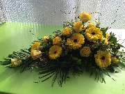 Hubein Diana - GALLERY