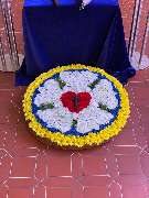 Hubein Diana - GALLERY