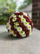 Hubein Diana - GALLERY