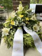 Hubein Diana - GALLERY